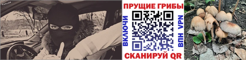 Галлюциногенные грибы GOLDEN TEACHER  купить закладку  Орехово-Зуево 